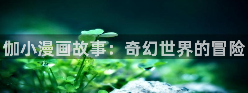 贝勒漫画下载：伽小漫画故事：奇幻世界的冒险