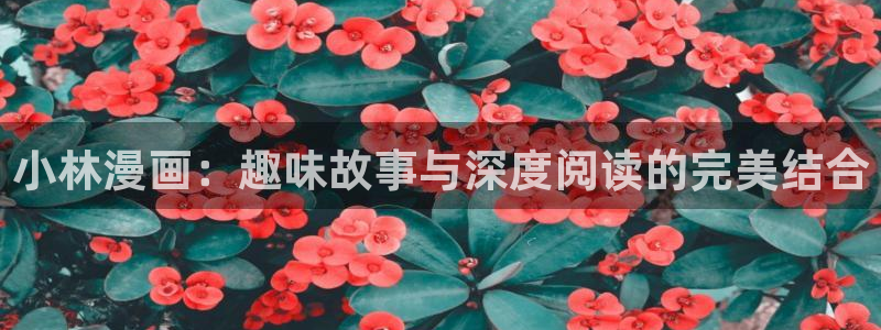 贝勒漫画：小林漫画：趣味故事与深度阅读的完美结合