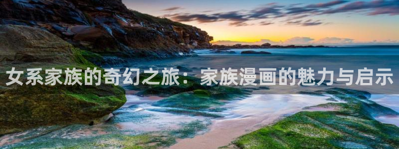 韩国贝勒漫画：女系家族的奇幻之旅：家族漫画的魅力与启示