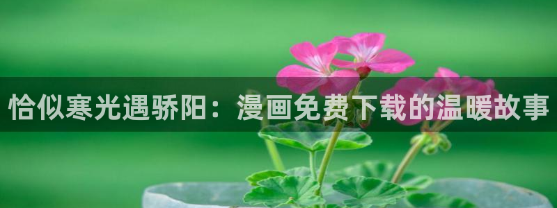 个人中心贝勒漫画：恰似寒光遇骄阳：漫画免费下载的温暖故事
