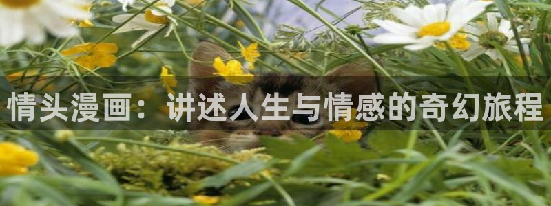 暗秋贝勒漫画免费下拉式快看：情头漫画：讲述人生与情感的奇幻旅程