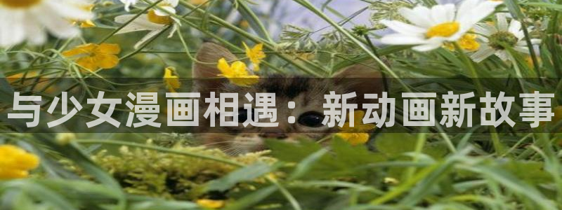 贝勒漫画改名叫什么了：与少女漫画相遇：新动画新故事