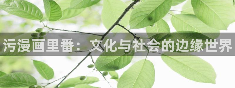 boylove贝勒漫画：污漫画里番：文化与社会的边缘世界