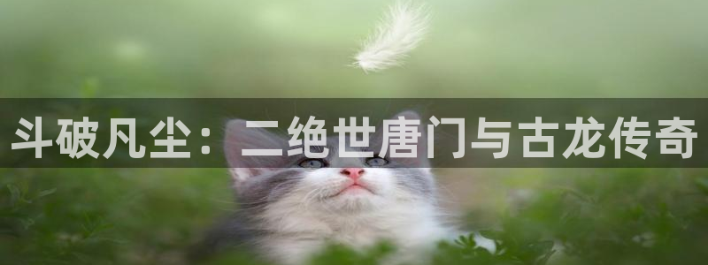 周一救星贝勒漫画：斗破凡尘：二绝世唐门与古龙传奇