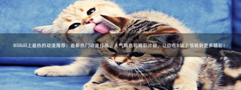 负面恋情贝勒漫画完整版：Bilibili上最热的动漫推荐：最新热门动漫作品、人气角色和精彩片段，让你在B站上领略到更多精彩！