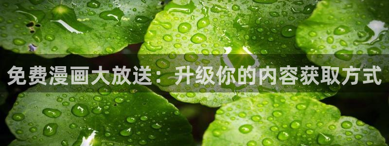 贝勒漫画排行分类大全：免费漫画大放送：升级你的内容获取方式