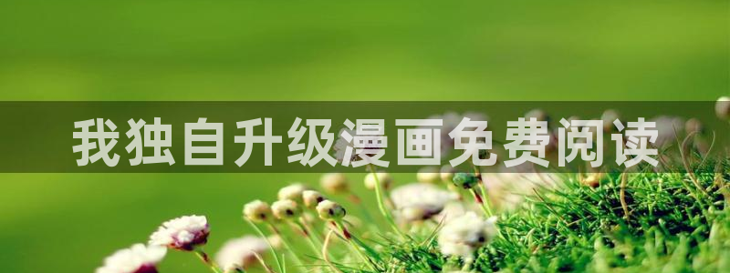 贝勒漫画旧版：我独自升级漫画免费阅读