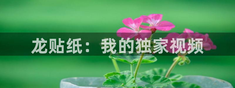 贝勒漫画周期表：龙贴纸：我的独家视频