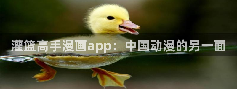 贝勒漫画在线观看入口：灌篮高手漫画app：中国动漫的另一面
