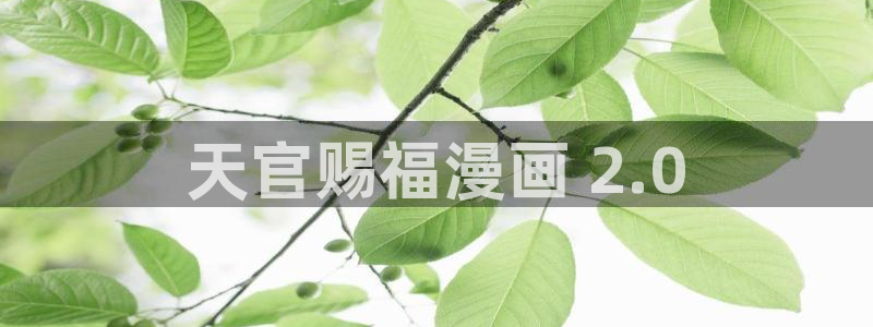贝勒漫画网站入口：天官赐福漫画 2.0