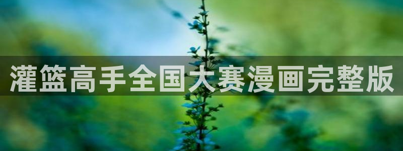 贝勒漫画官方：灌篮高手全国大赛漫画完整版